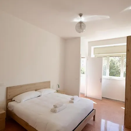 Hc - Stadio Olimpico Huge New